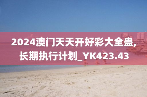 2024澳门天天开好彩大全蛊,长期执行计划_YK423.43