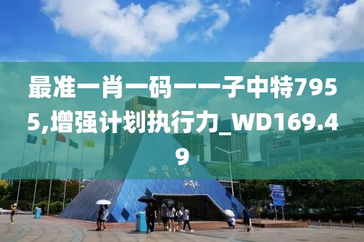 最准一肖一码一一子中特7955,增强计划执行力_WD169.49