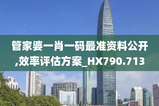 管家婆一肖一码最准资料公开,效率评估方案_HX790.713