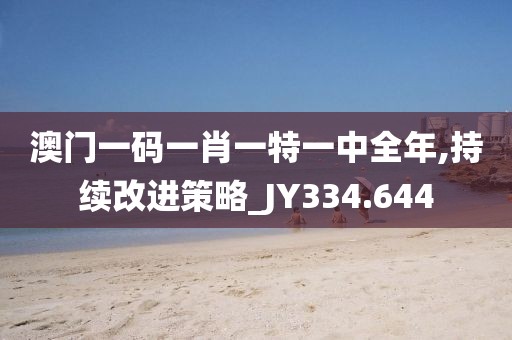 澳门一码一肖一特一中全年,持续改进策略_JY334.644
