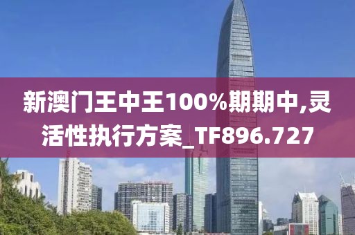 新澳门王中王100%期期中,灵活性执行方案_TF896.727