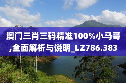 澳门三肖三码精准100%小马哥,全面解析与说明_LZ786.383