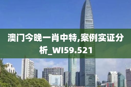 澳门今晚一肖中特,案例实证分析_WI59.521