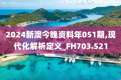 2024新澳今晚资料年051期,现代化解析定义_FH703.521