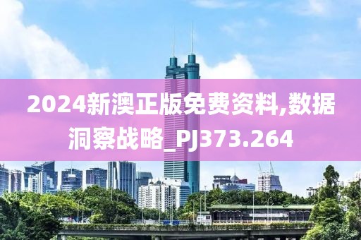 2024新澳正版免费资料,数据洞察战略_PJ373.264