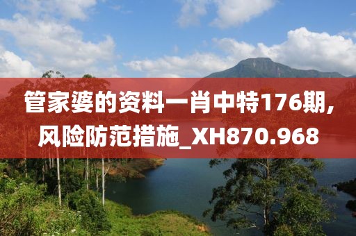 管家婆的资料一肖中特176期,风险防范措施_XH870.968