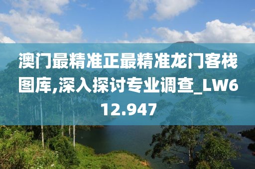 澳门最精准正最精准龙门客栈图库,深入探讨专业调查_LW612.947