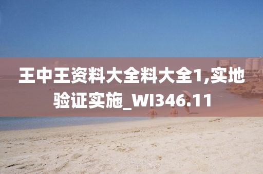 王中王资料大全料大全1,实地验证实施_WI346.11