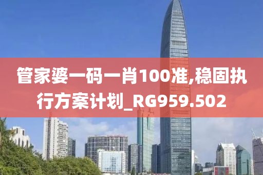 管家婆一码一肖100准,稳固执行方案计划_RG959.502