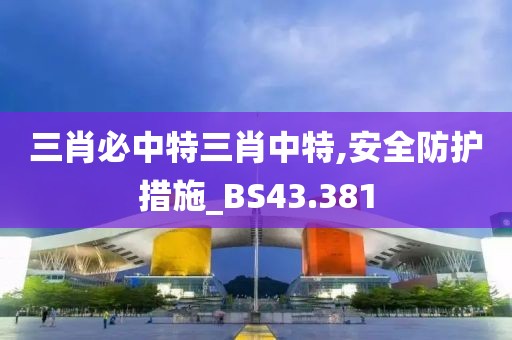 三肖必中特三肖中特,安全防护措施_BS43.381
