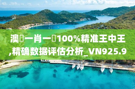 澳門一肖一碼100%精准王中王,精确数据评估分析_VN925.9