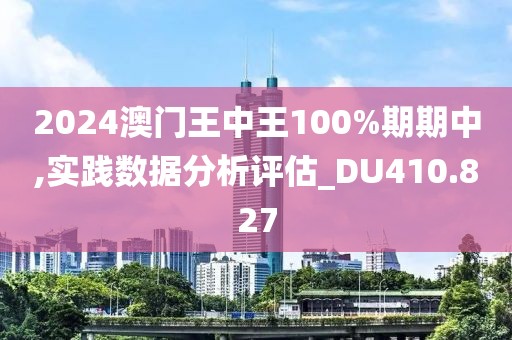 2024澳门王中王100%期期中,实践数据分析评估_DU410.827