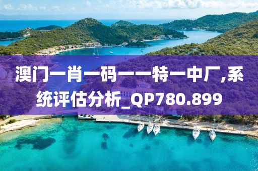 澳门一肖一码一一特一中厂,系统评估分析_QP780.899