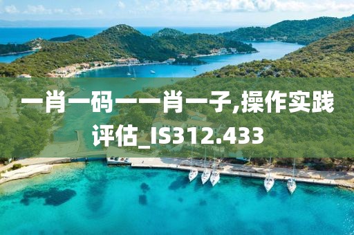 一肖一码一一肖一子,操作实践评估_IS312.433