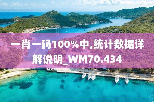 一肖一码100%中,统计数据详解说明_WM70.434