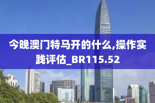 今晚澳门特马开的什么,操作实践评估_BR115.52