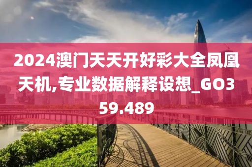2024澳门天天开好彩大全凤凰天机,专业数据解释设想_GO359.489