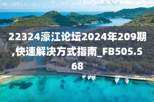 22324濠江论坛2024年209期,快速解决方式指南_FB505.568