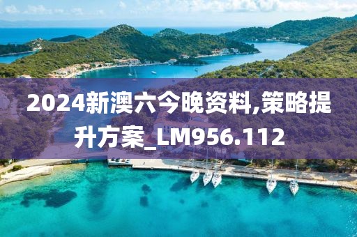 2024新澳六今晚资料,策略提升方案_LM956.112