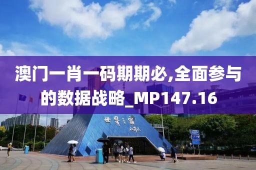 澳门一肖一码期期必,全面参与的数据战略_MP147.16