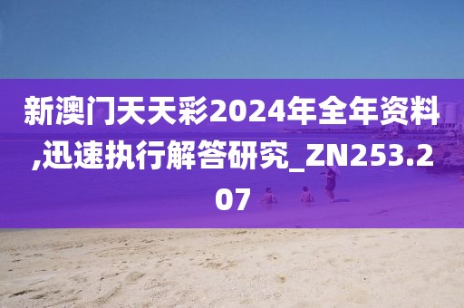 新澳门天天彩2024年全年资料,迅速执行解答研究_ZN253.207