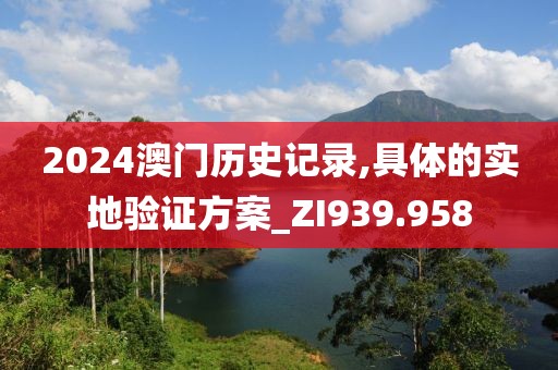 2024澳门历史记录,具体的实地验证方案_ZI939.958