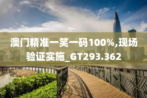 澳门精准一笑一码100%,现场验证实施_GT293.362