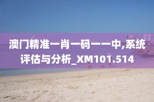 澳门精准一肖一码一一中,系统评估与分析_XM101.514