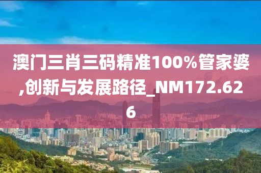 澳门三肖三码精准100%管家婆,创新与发展路径_NM172.626