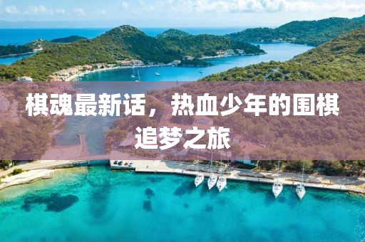 棋魂最新话，热血少年的围棋追梦之旅