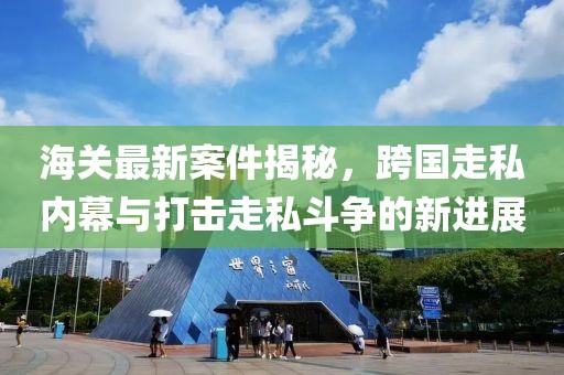 海关最新案件揭秘，跨国走私内幕与打击走私斗争的新进展