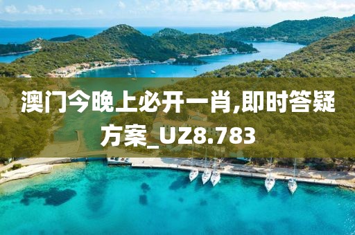 澳门今晚上必开一肖,即时答疑方案_UZ8.783