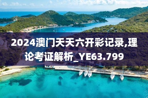 2024澳门天天六开彩记录,理论考证解析_YE63.799