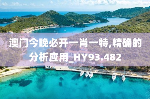 澳门今晚必开一肖一特,精确的分析应用_HY93.482