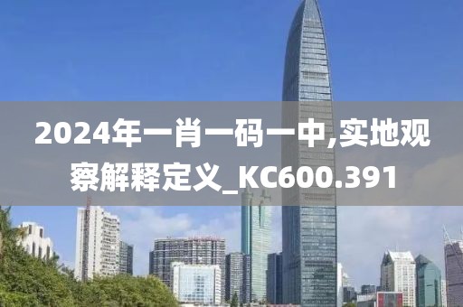 2024年一肖一码一中,实地观察解释定义_KC600.391