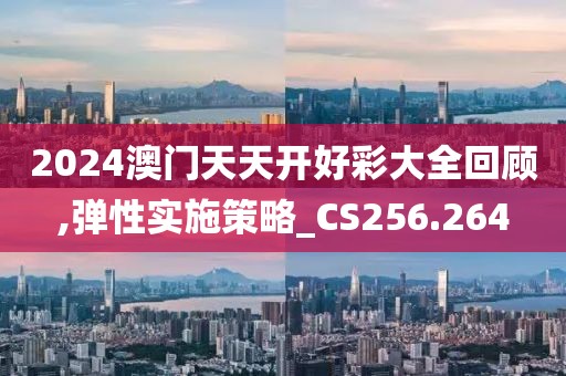 2024澳门天天开好彩大全回顾,弹性实施策略_CS256.264