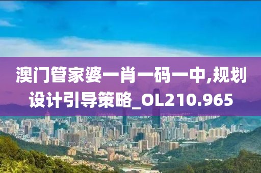 澳门管家婆一肖一码一中,规划设计引导策略_OL210.965
