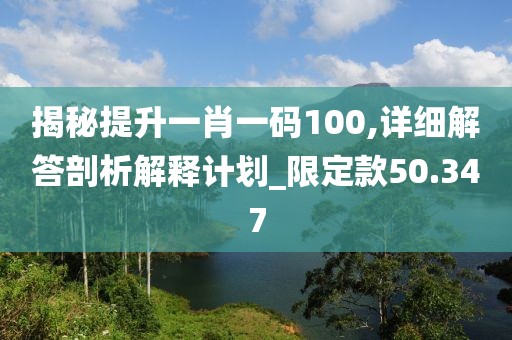 揭秘提升一肖一码100,详细解答剖析解释计划_限定款50.347
