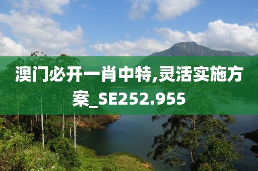 澳门必开一肖中特,灵活实施方案_SE252.955