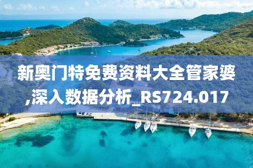 新奥门特免费资料大全管家婆,深入数据分析_RS724.017