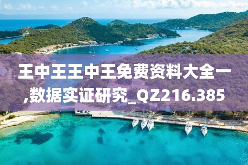 王中王王中王免费资料大全一,数据实证研究_QZ216.385