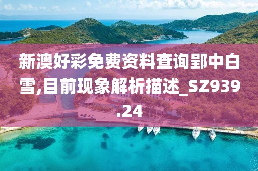 新澳好彩免费资料查询郢中白雪,目前现象解析描述_SZ939.24