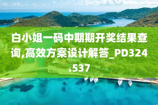 白小姐一码中期期开奖结果查询,高效方案设计解答_PD324.537