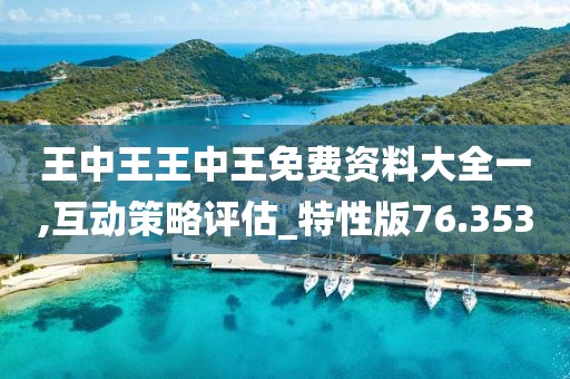 王中王王中王免费资料大全一,互动策略评估_特性版76.353