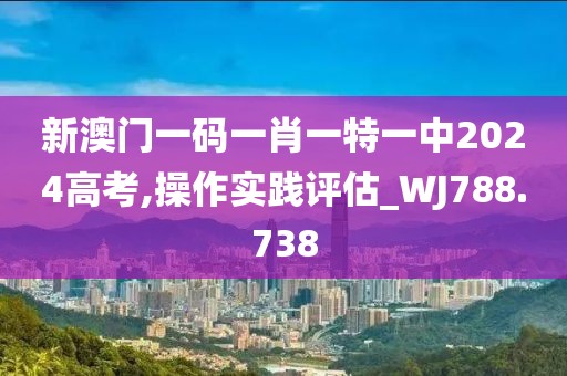新澳门一码一肖一特一中2024高考,操作实践评估_WJ788.738