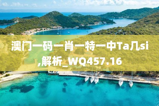 澳门一码一肖一特一中Ta几si,解析_WQ457.16