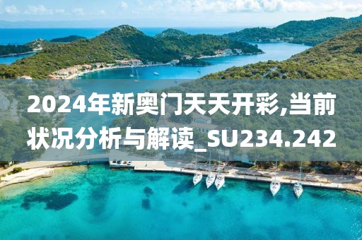 2024年新奥门天天开彩,当前状况分析与解读_SU234.242