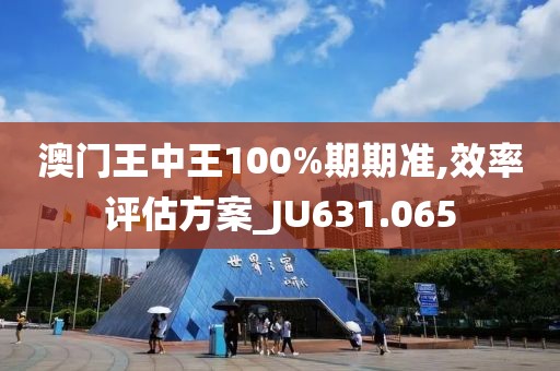澳门王中王100%期期准,效率评估方案_JU631.065