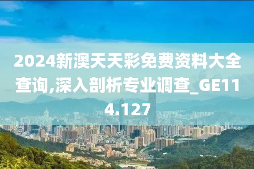 2024新澳天天彩免费资料大全查询,深入剖析专业调查_GE114.127
