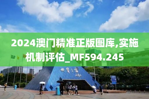 2024澳门精准正版图库,实施机制评估_MF594.245
